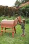 Preview: Small Foot Holzpferd braun Kinder Spielzeug