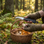 Preview: Pilzmesser Klappmesser mit Pilzbürste Korkenzieher Flaschenöffner Holzgriff