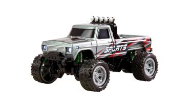 Amewi RC-Monstertruck Die Cast 1:64 RTR grau RC Fahrzeuge