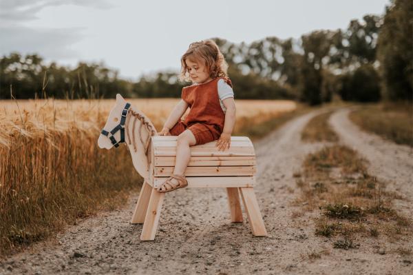 Small Foot Holzpferd kompakt Kinder Spielzeug