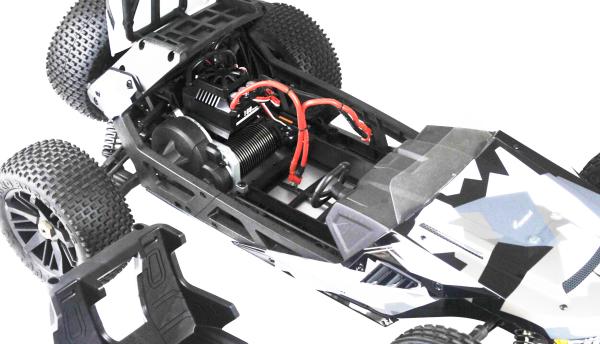 Amewi Buggy Hammerhead V2 brushless 2WD 1:6 ARTR RC Spielzeug RC Auto